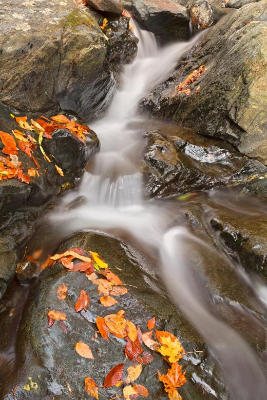 Free stock image of Glen Artney Stream - HDR created by Nicolas Raymond