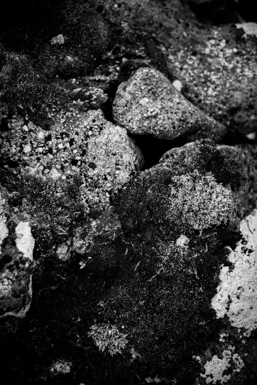 Free stock image of Moss and Rocks Texture created by Free Texture Friday
