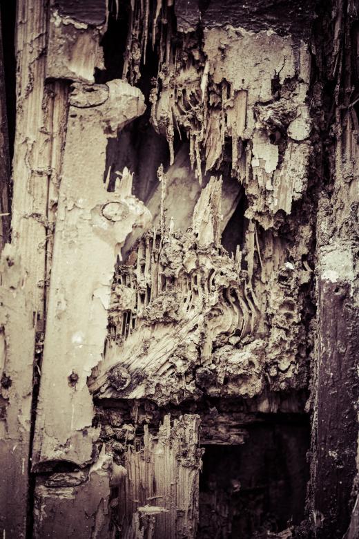 Free stock image of Vintage Wood Texture created by Free Texture Friday