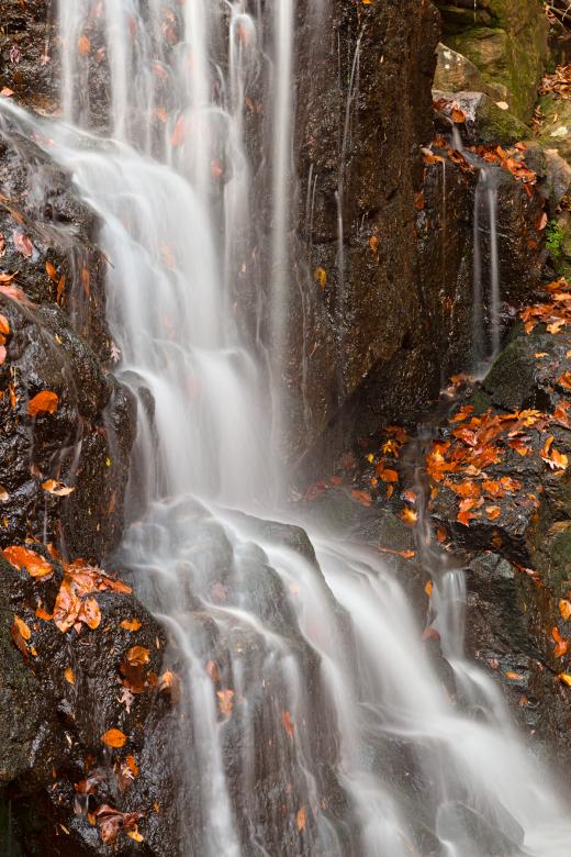 Free stock image of Avalon Falls - HDR created by Nicolas Raymond