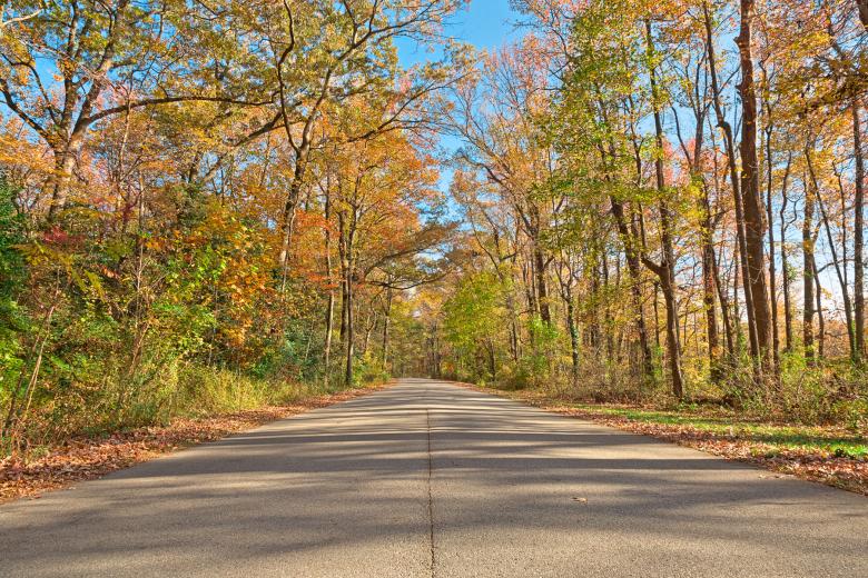Free stock image of North Point Fall Road - HDR created by Nicolas Raymond