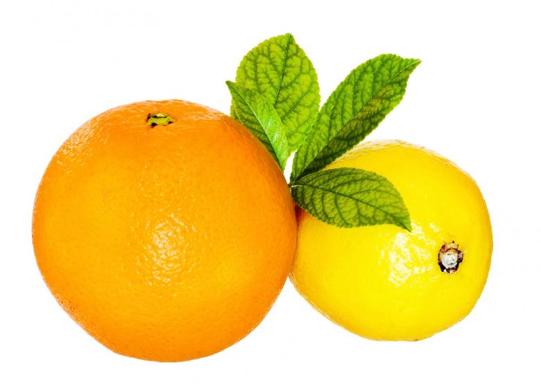 Free stock image of fresh lemon and orange created by 2happy