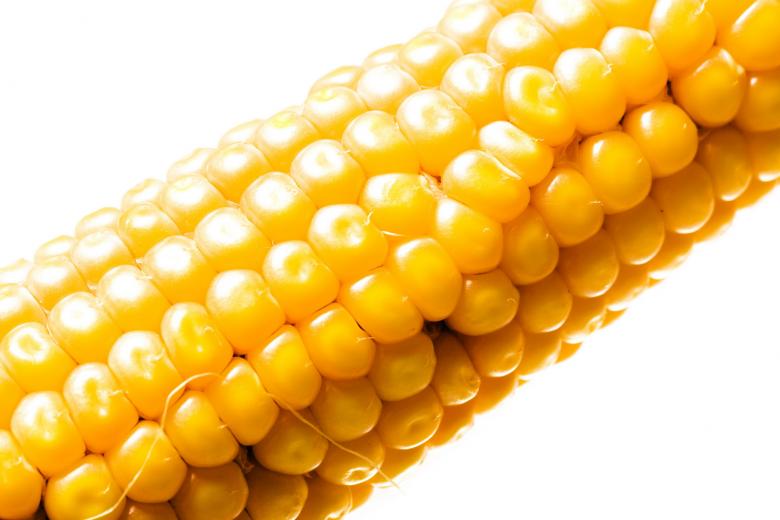 Free stock image of Corn created by 2happy