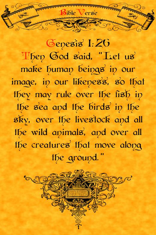 Free stock image of Religious Teachings created by George Cuda