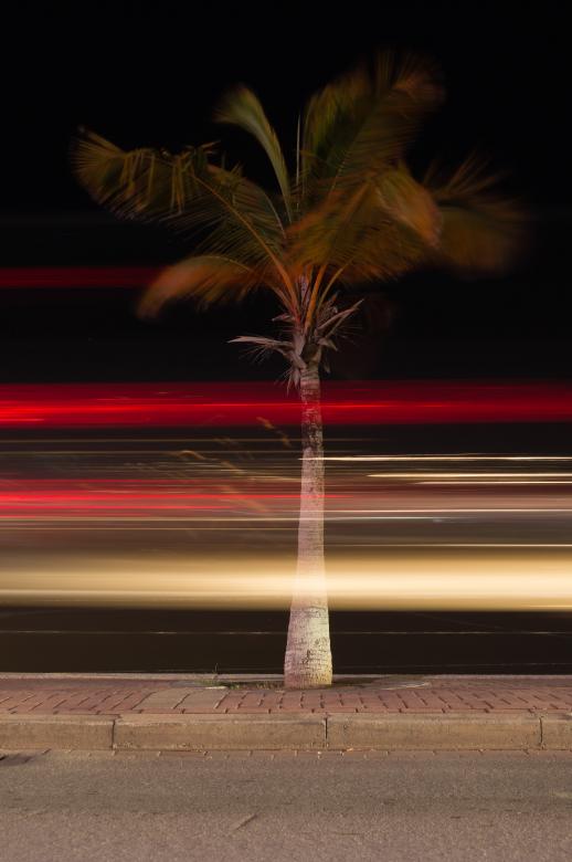 Free stock image of Light Trails at the Boulevard created by Joey Juffermans