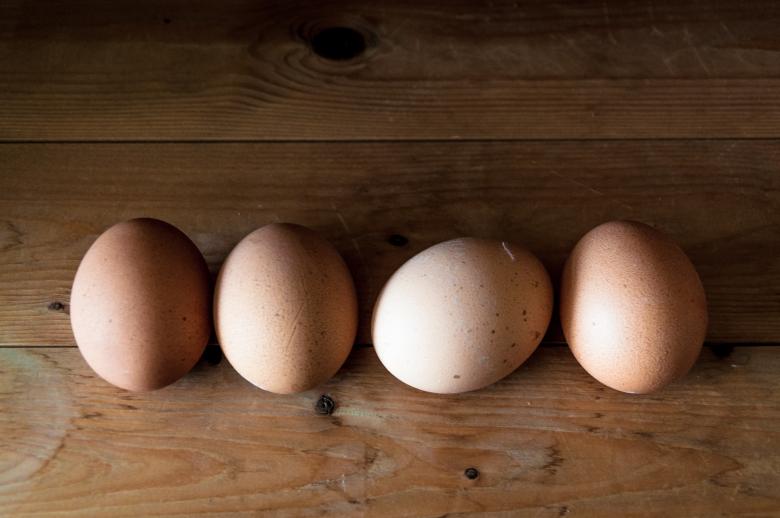Free stock image of Eggs on wood background created by Luka