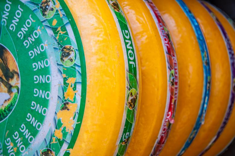 Free stock image of Dutch gouda cheese created by Luka
