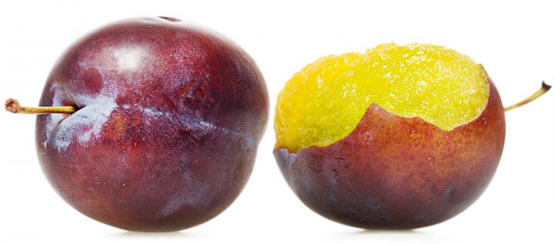 Free stock image of Plums created by 2happy