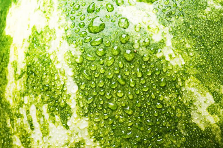 Free stock image of Water drops on watermelon created by 2happy