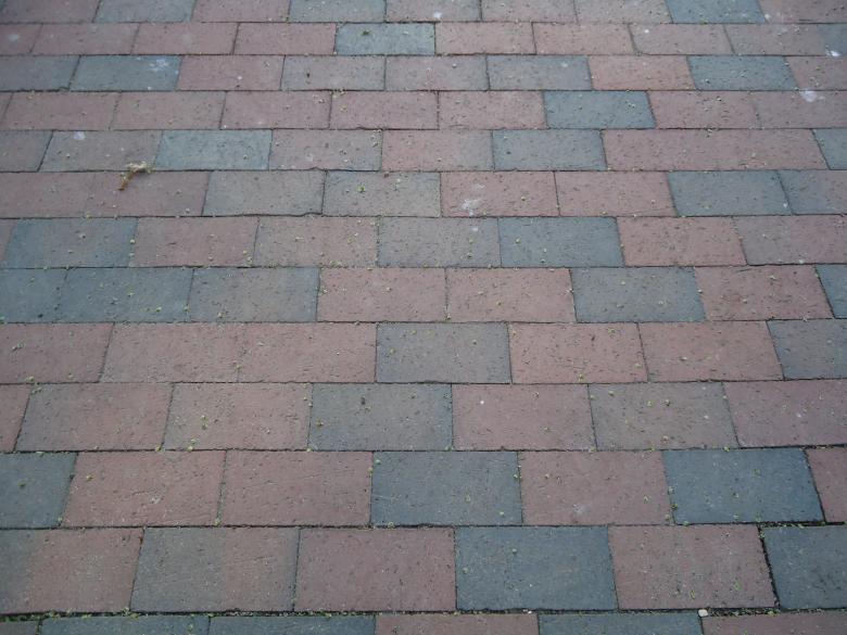 Free stock image of Bricks created by Katharine Sparrow