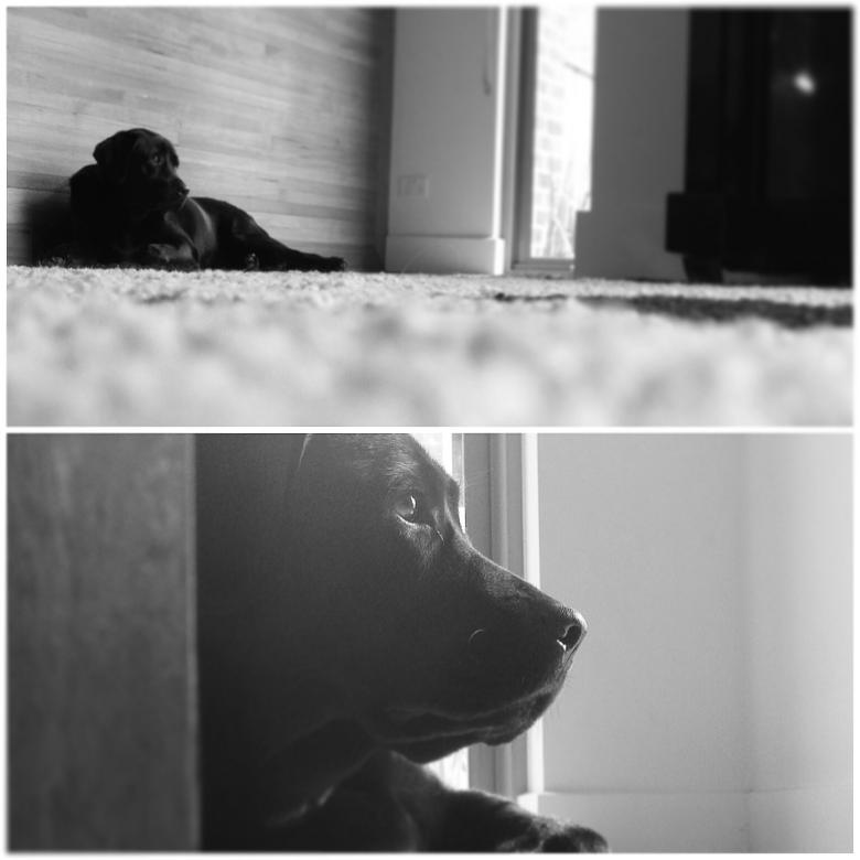 Free stock image of Contemplation created by Tessa Macken