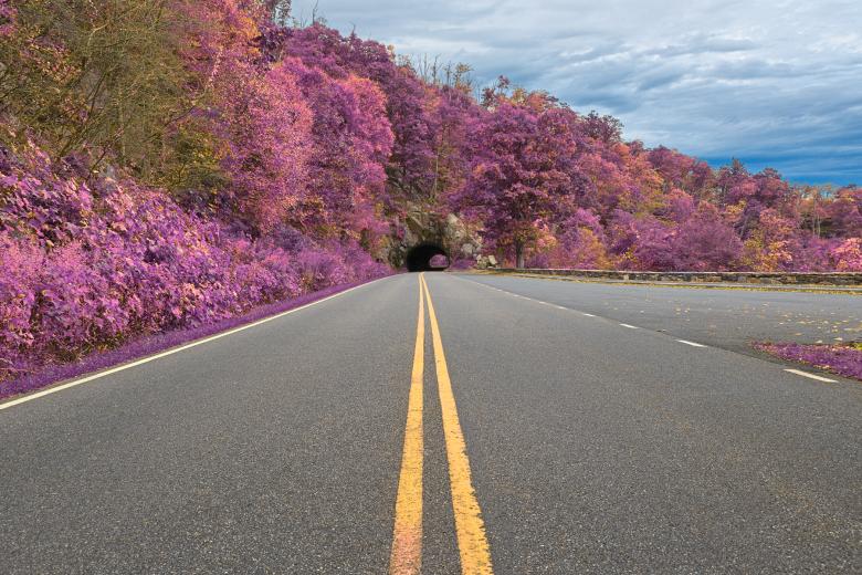 Free stock image of Lavender Skyline Drive - HDR created by Nicolas Raymond