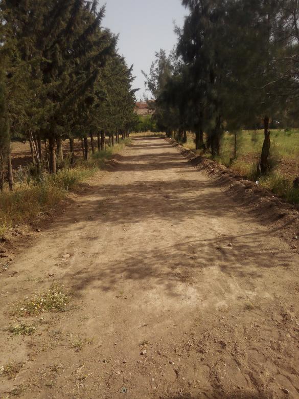 Free stock image of Farm Route created by yasser