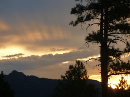 Wild Sunset - Free Stock Photo