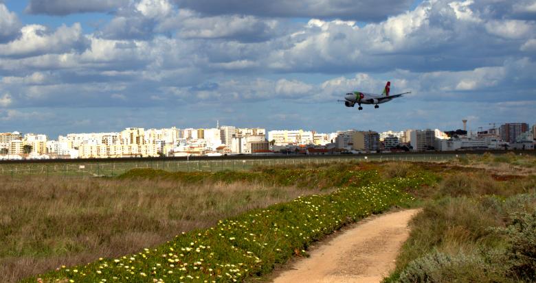 Free stock image of Airplane landing created by Jack Moreh
