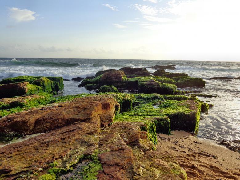 Free stock image of Beautiful Beach created by Anuraj R V