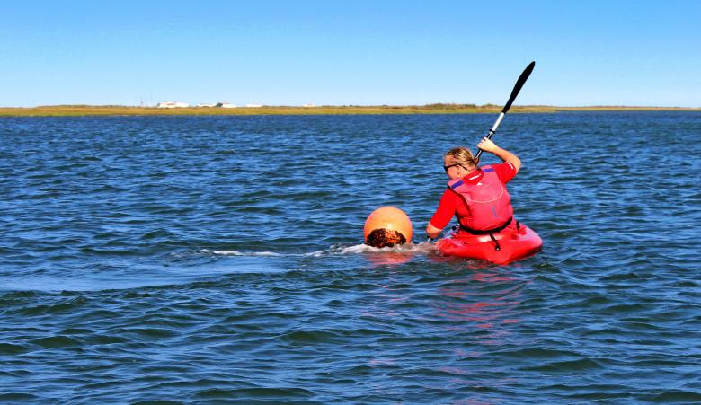 Free stock image of Woman kayaking created by Jack Moreh