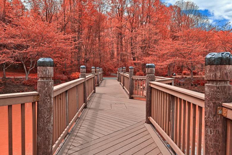 Free stock image of Ruby Meadowlark Bridge - HDR created by Nicolas Raymond