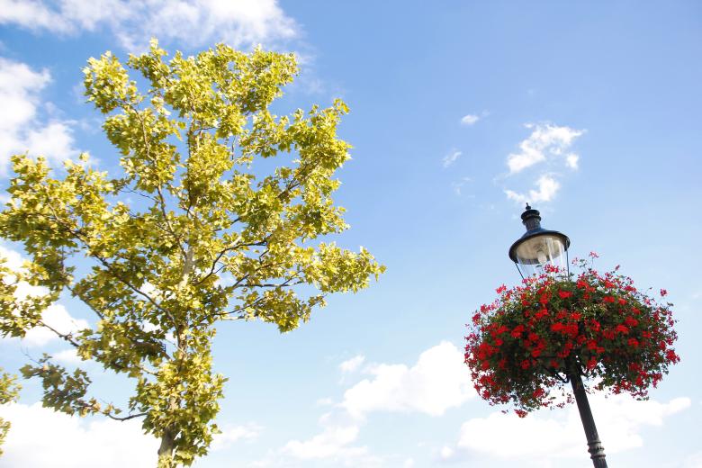 Free stock image of Sunny day created by 2happy