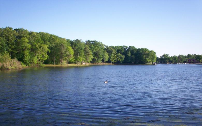 Free stock image of Waterway created by Vincent alvino
