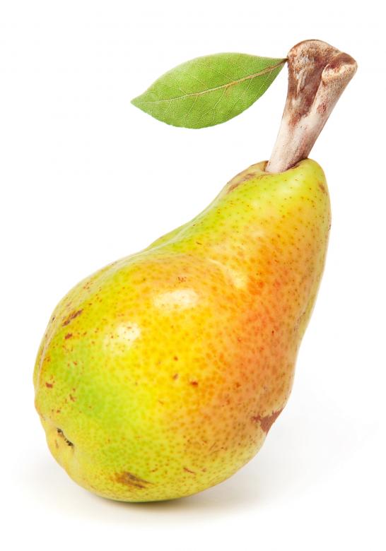 Free stock image of Pear created by 2happy