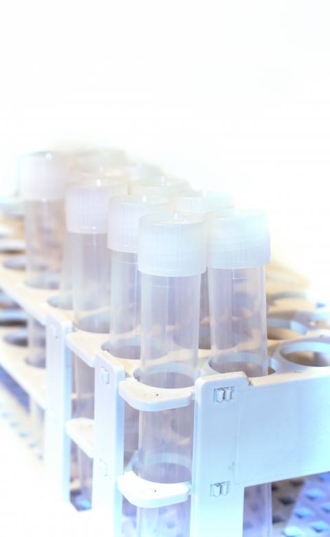 Free stock image of Tube Rack created by Dennis Krog