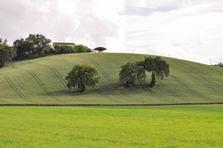 Free stock image of Country Life in Tuscany created by Adnan Syed