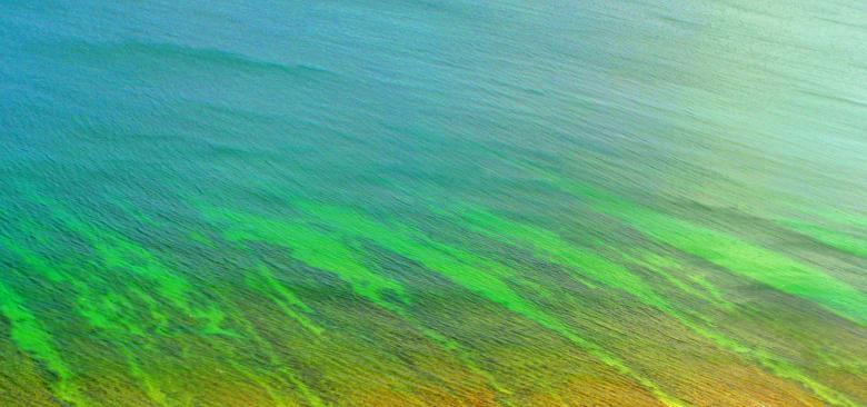 Free stock image of Beautiful natural pattern - Ocean ripple created by Jack Moreh