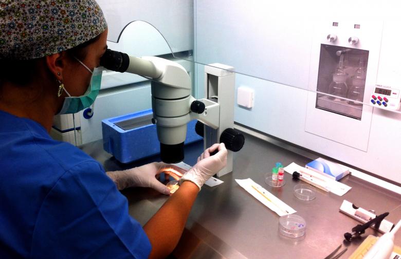Free stock image of Embryologist created by Jack Moreh