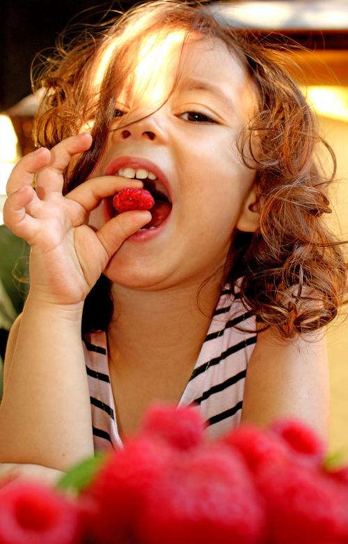 Free stock image of Child eating raspberries created by Jack Moreh
