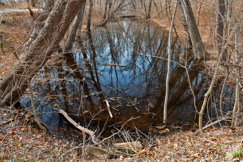 Free stock image of Sycamore Landing Creek created by Nicolas Raymond