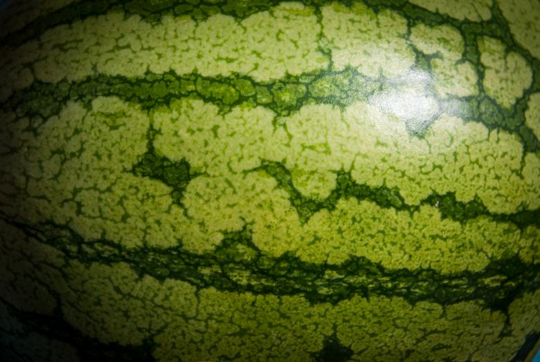 Free stock image of Watermelon created by Luka
