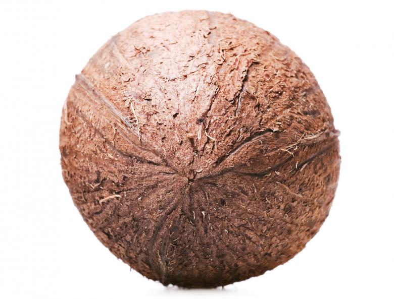 Free stock image of Coconut created by 2happy