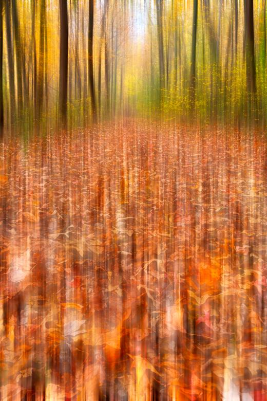 Free stock image of Ferry Grove Motion Trail created by Nicolas Raymond
