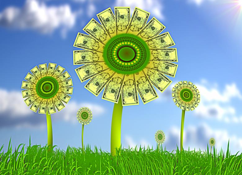 Free stock image of Sunflowers with dollar bills created by Jack Moreh
