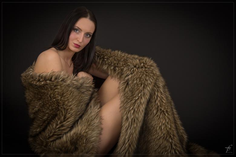 Free stock image of Weronica created by Frantisek Pech