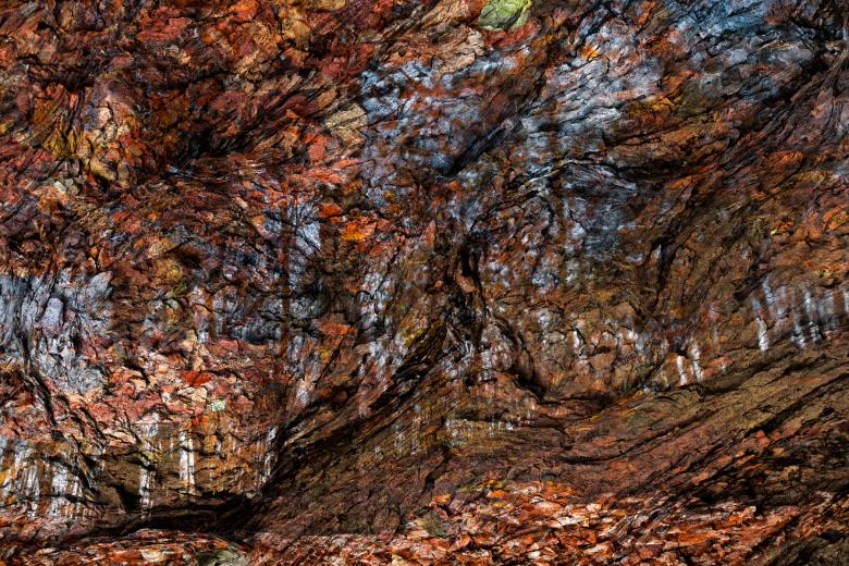 Free stock image of Avalon Wood Impressions created by Nicolas Raymond