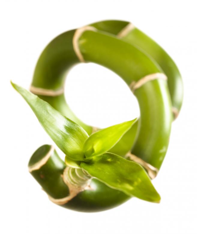Free stock image of plant stem created by 2happy