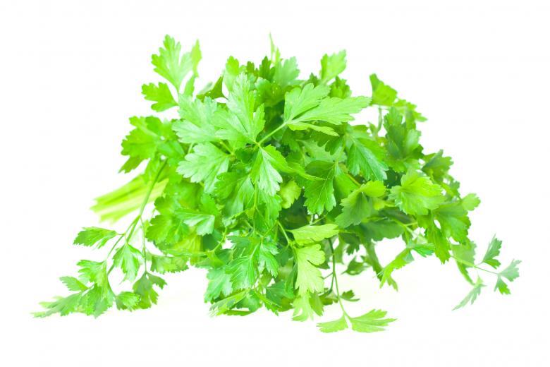 Free stock image of parsley  created by 2happy