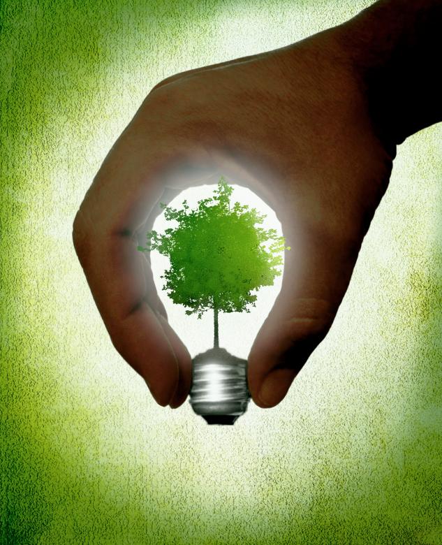 Free stock image of Hand creating a lightbulb created by Jack Moreh