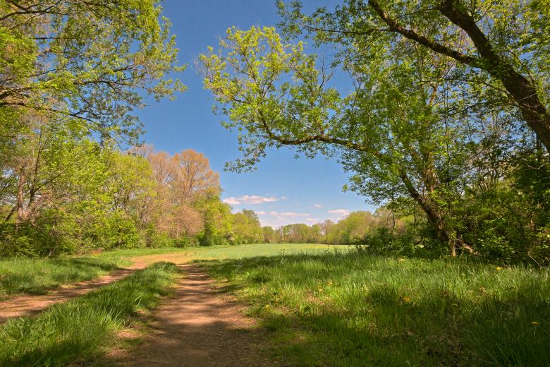 Free stock image of McKee-Beshers Trail - HDR created by Nicolas Raymond