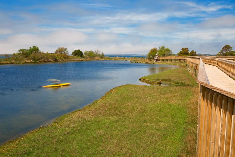 Free stock image of Assateague Island Marsh created by Nicolas Raymond