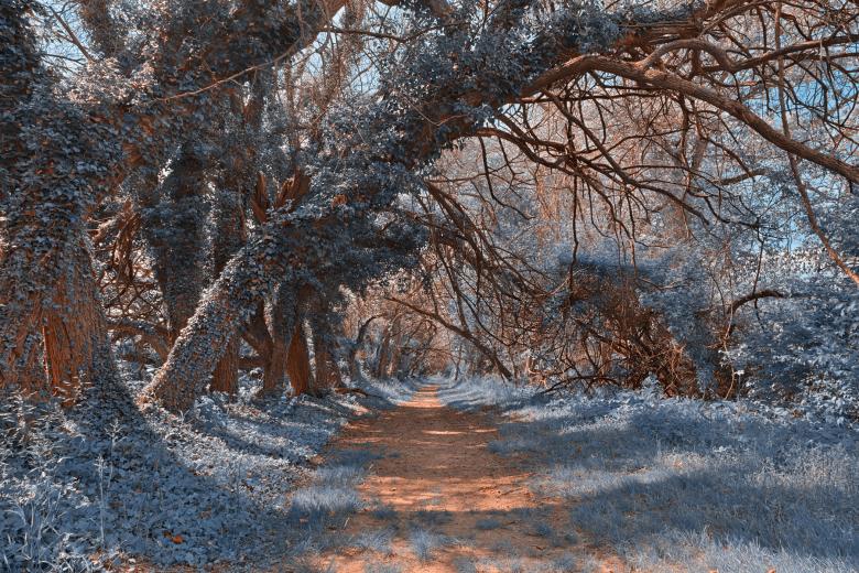 Free stock image of Wye Island Sapphire Trail - HDR created by Nicolas Raymond