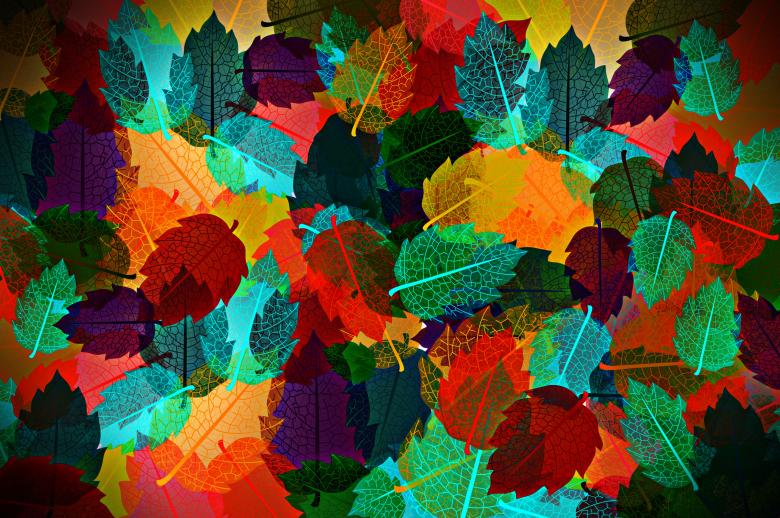 Free stock image of Colorful autumn leaves pattern created by Jack Moreh