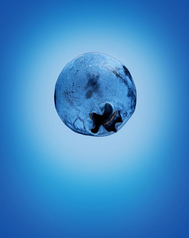 Free stock image of Blue (Berry) on Blue (Background) created by Jack Moreh