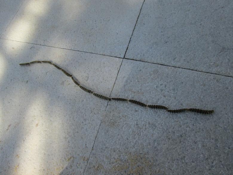 Free stock image of On the Floor created by Oriel Aurelia Hanson