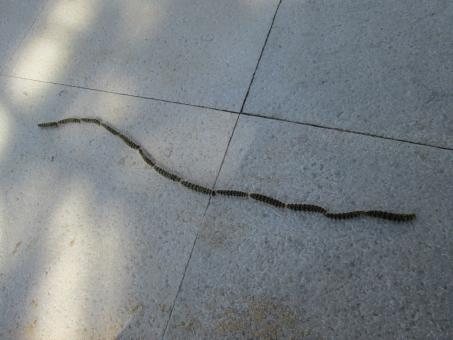On the Floor - Free Stock Photo