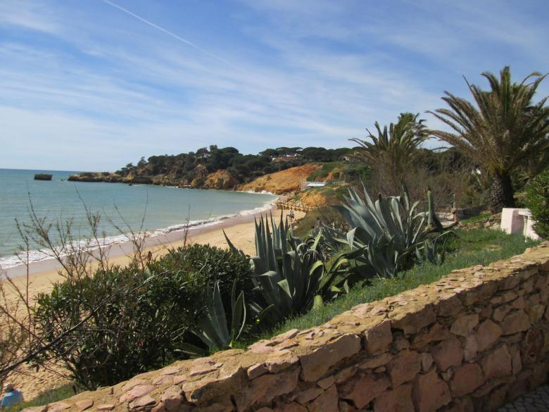 Free stock image of Beautiful Island created by Oriel Aurelia Hanson