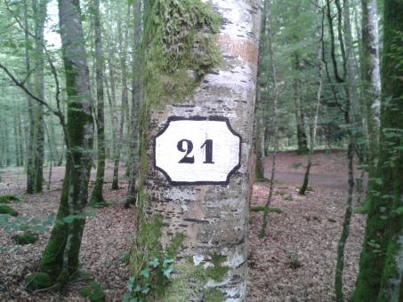 Number 21 - Free Stock Photo