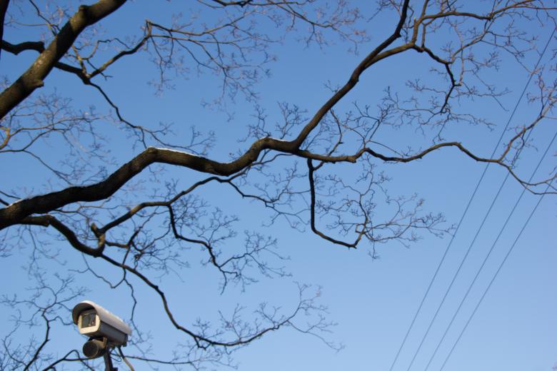 Free stock image of Security camera and tree created by 2happy